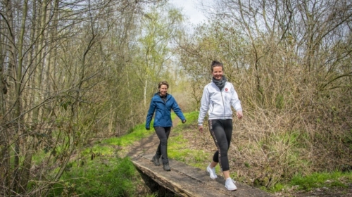 Manderveen wandelen