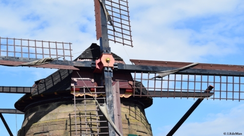 Molen