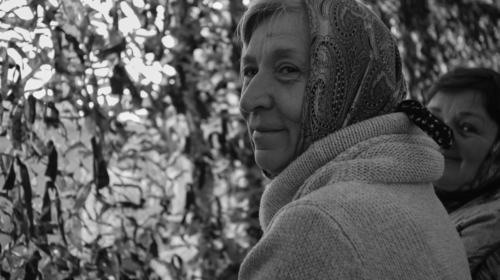Nettenknoopster Oekraine vrouw zwartwit Ernst Bergboer resize