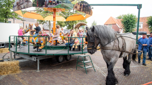 Paardenmarkt Enter