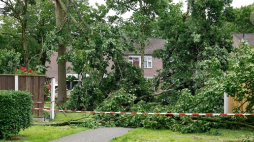 Stormschade windhoos glanerburg 20260604 01