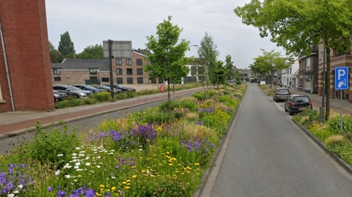 Vanbusbaan naar groen bornsestraat na
