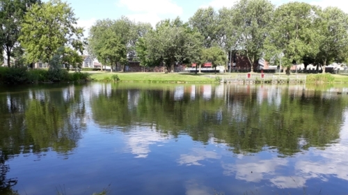 Vijver tichelpad