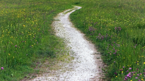 Wandelpad