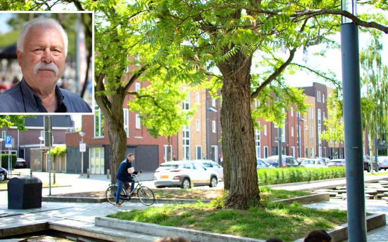 202505 bomen in Roombeek en Donato De Vivo 1 Twente