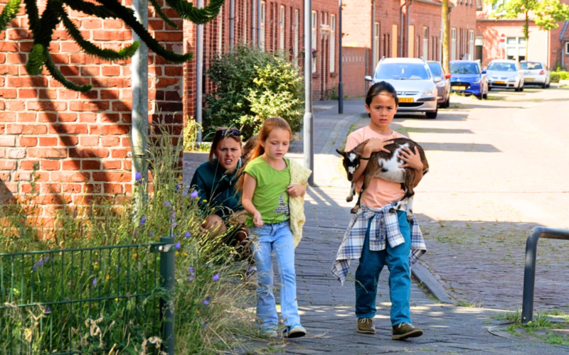 20250618 geitje voor een karweitje elisabeth hesemans