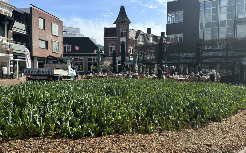 20260409 tulpen koornmarkt
