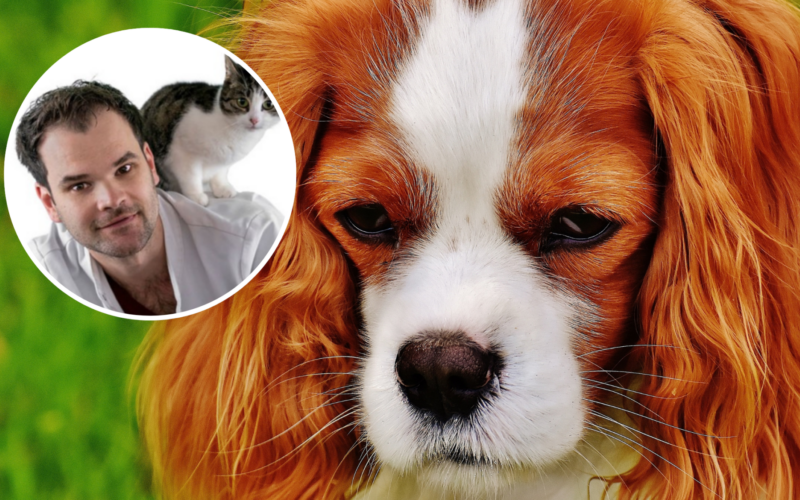 260508 dierenarts