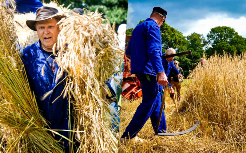 26072023 Hezingen Ootmarsum Traditioneel Oogsten