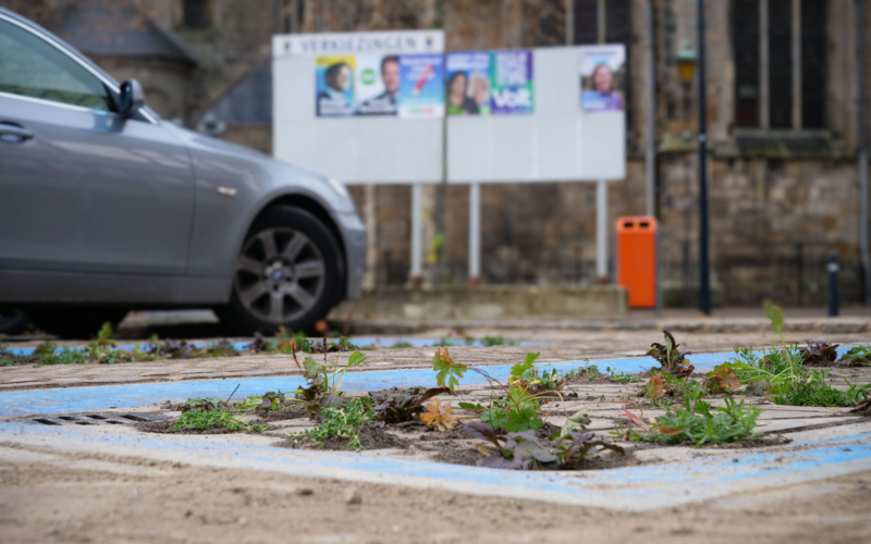 Shop En Go parkeerplekken Oldenzaal groen