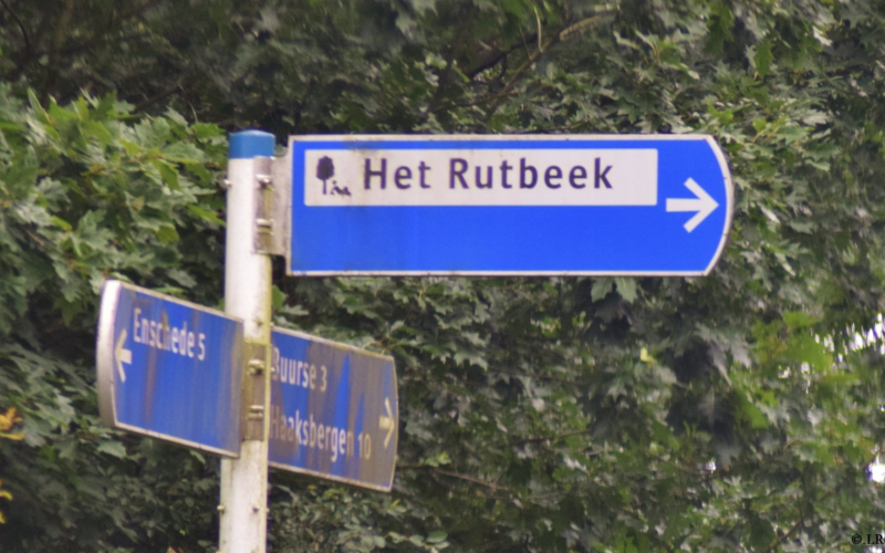 Rutbeek bord