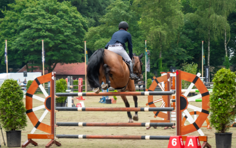 Almelose Ruiterdagen 2 20240618