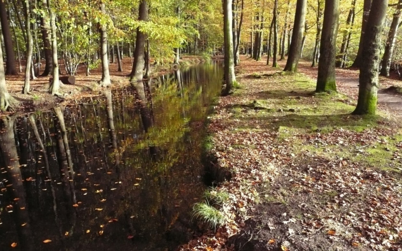 Landgoederen Oldenzaal