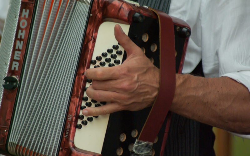 Shantykoor pixabay accordeon