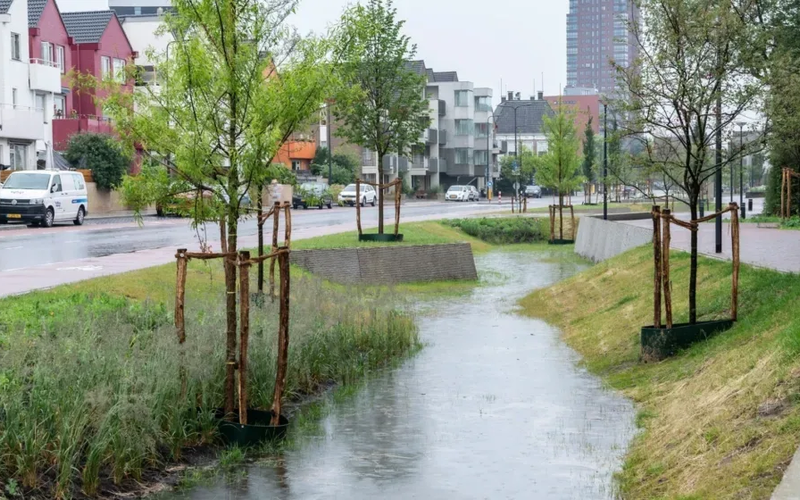 Wadi Oldenzaalsestraat Enschede