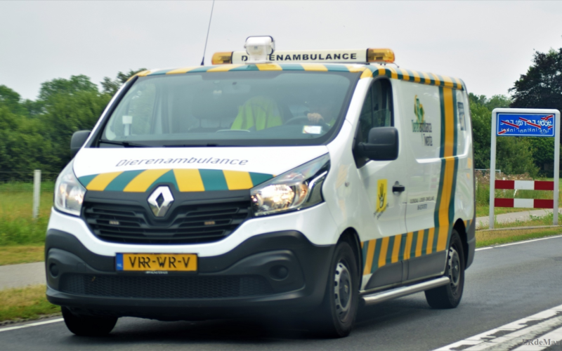 20250114 dierenambulance