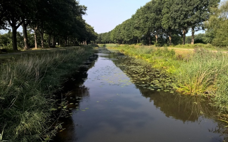 Bomenkap kanaal Almelo Nordhorn