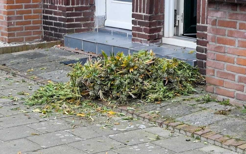 Politie ontmanteld hennepkwekerij in Enschede