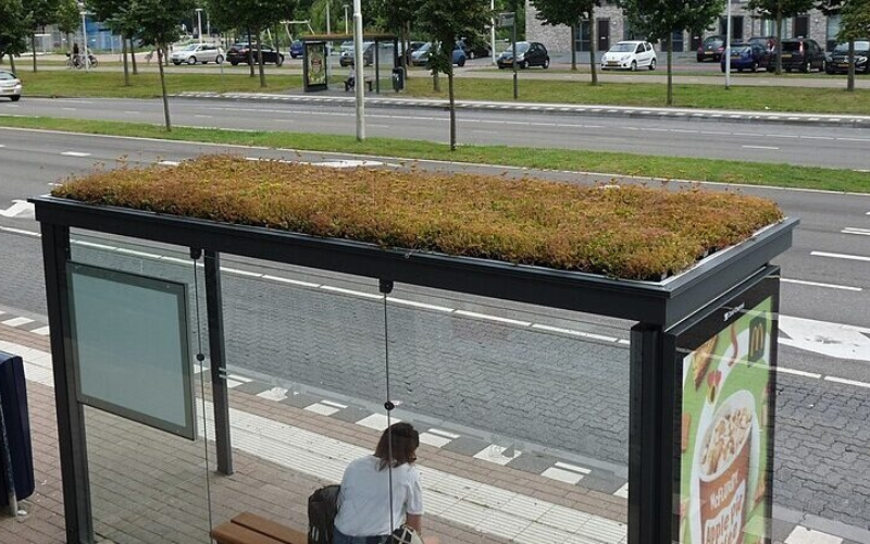 20250218 Groene bushalte in Utrecht Terwijde