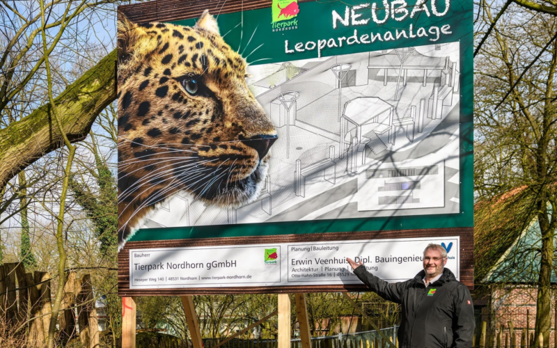 Bauschild bei den Leoparden