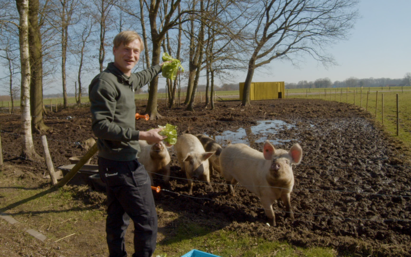 Dennis Jansen bij de varkens