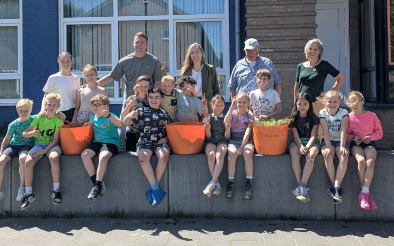 Bloemenlint Leemstee Zinkweg