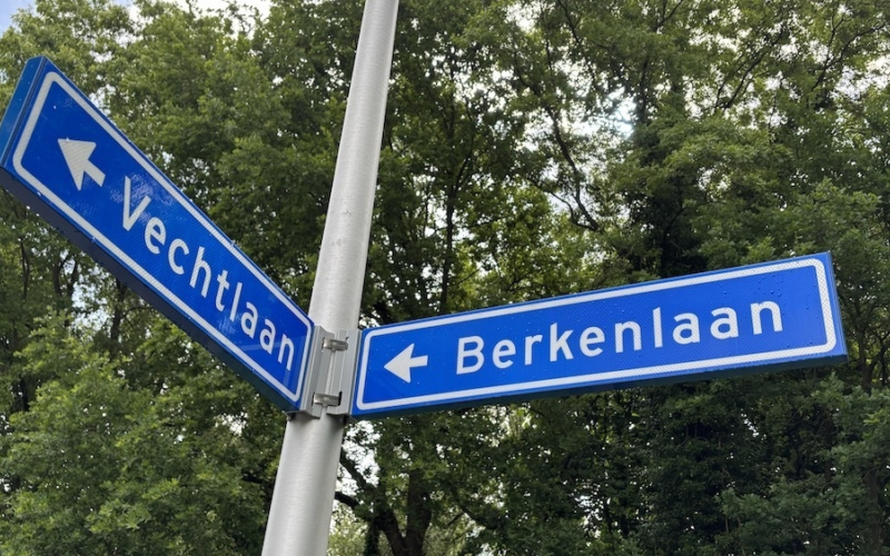 20250526 vechtlaan fout straatbodje hengelo berkenlaan