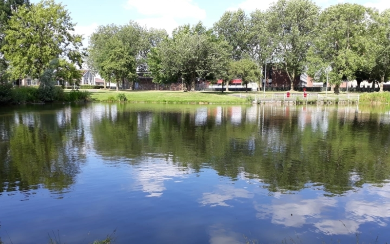 Vijver tichelpad