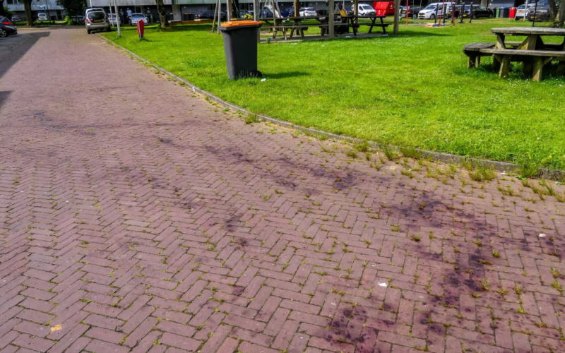 Bloedspoor in Enschede Dennis Bakker News United