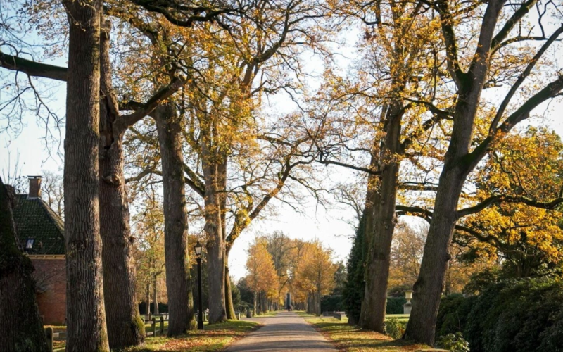 Foto laan twickel rtv oost