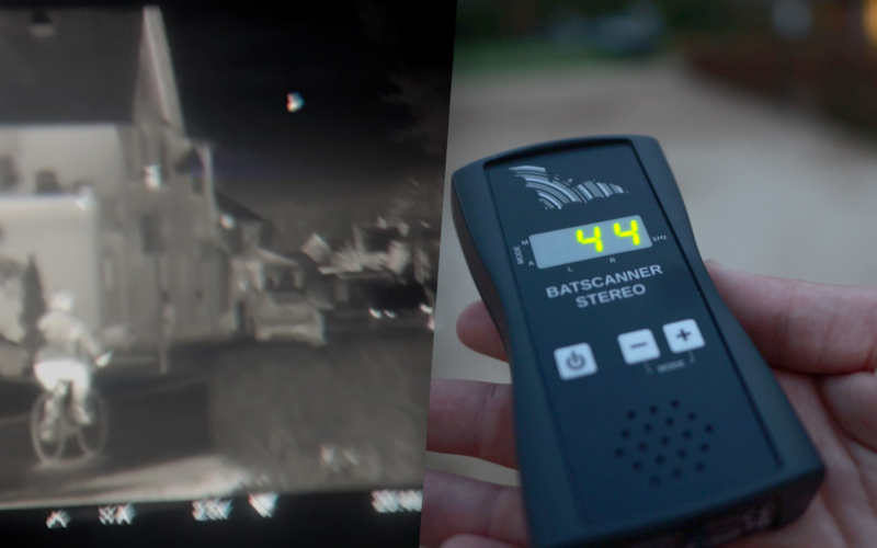 VLEERMUIZEN VASSE 20260416