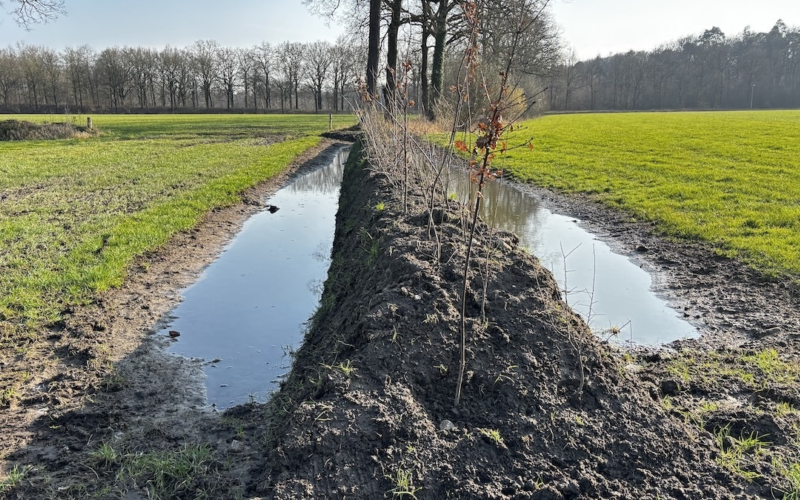 20260311 twickel houtwallen aanleg IMG 1635