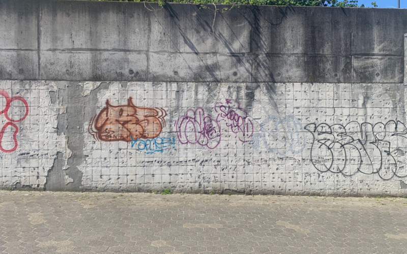 Foto velourstunnel 1 1twente 2026