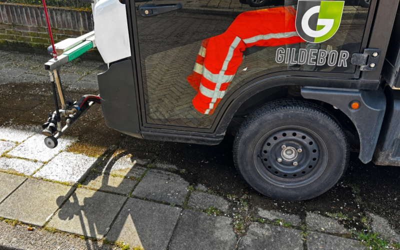 20270428 gildebor onkruid stoom IMG 1949a