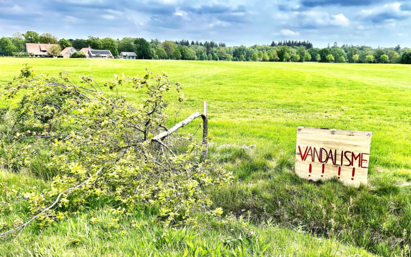 Boomvandalisme Denekamp