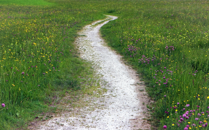 Wandelpad