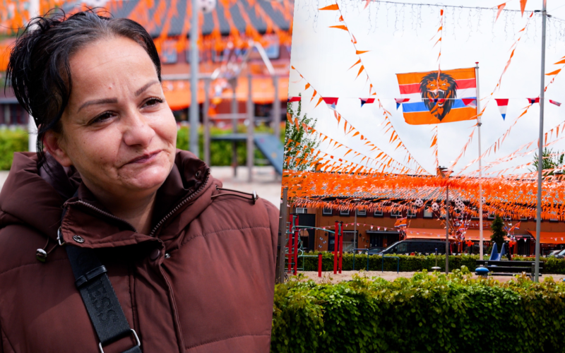 WK VERSIERING VINKENPLEIN AFBEELDING