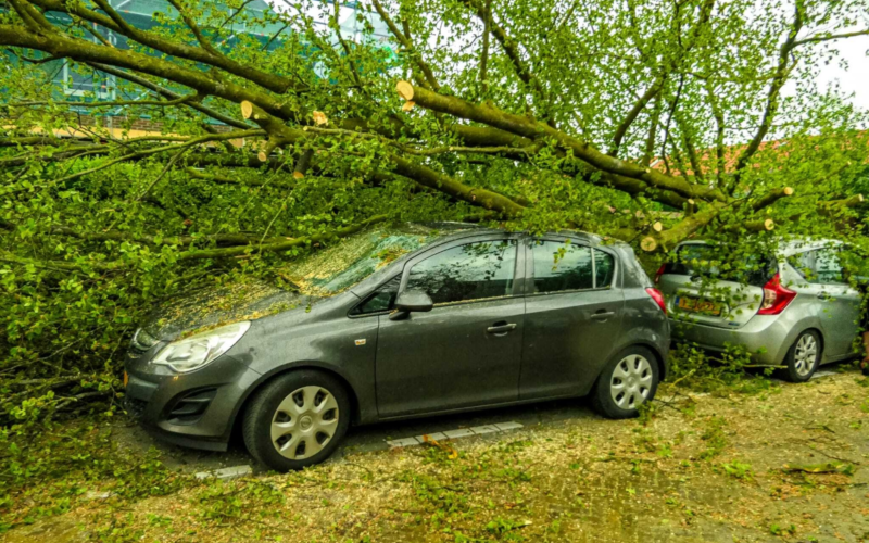 20260529 stormschade malangstraat enschede boom waait op auto