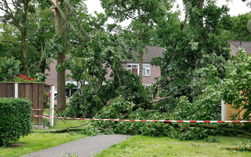 Stormschade windhoos glanerburg 20260604 01