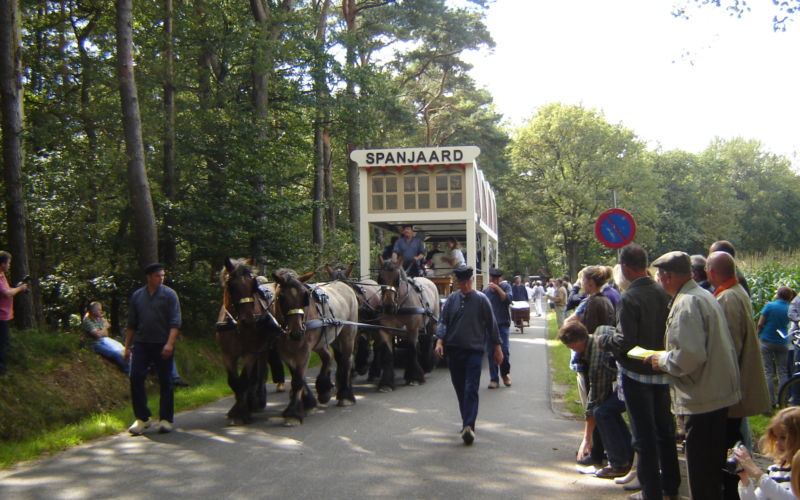Optocht saasveld 2010