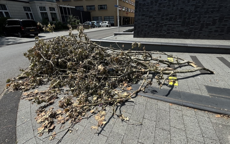 IMG 3672 stormschade tak beursstraat1