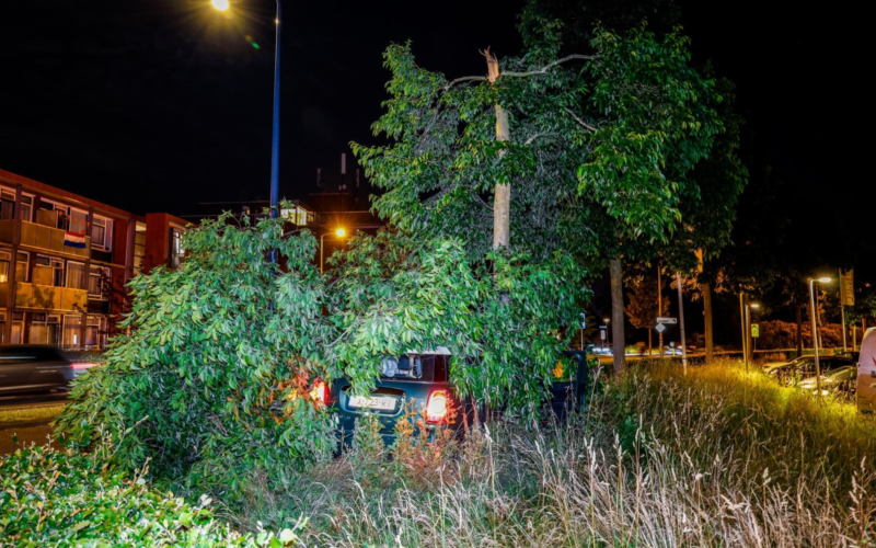 botsing - ongeluk - auto - boom - Oliemolensingel