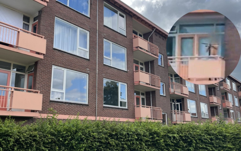 20260703 kruisboogschutter kenzo k