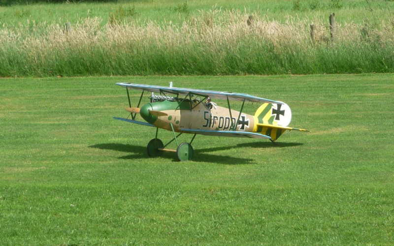 Ikarus