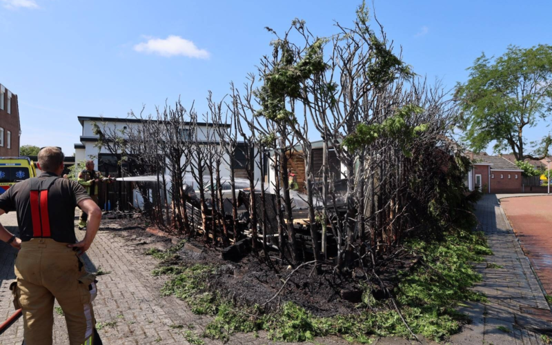 Wierden 20260710 02