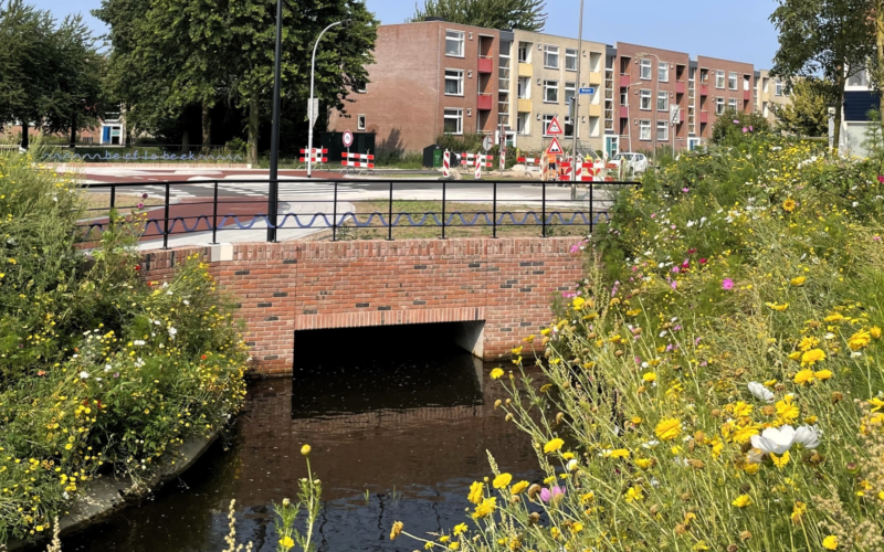 260000 foto bankastraat met beek 2024 gerda minkjan