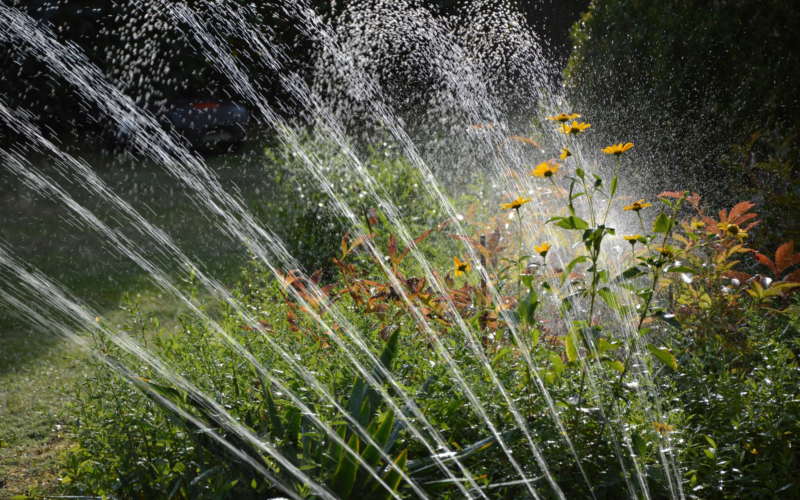 besproeiing tuin