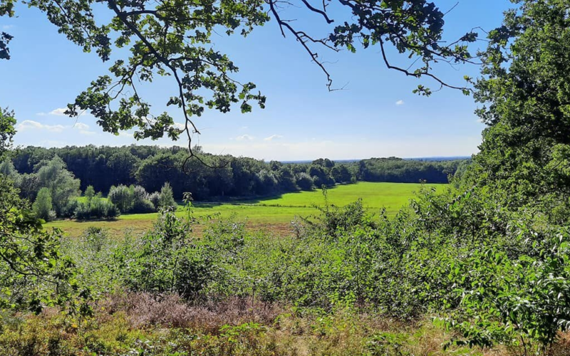 Focus op leefbaarheid coulissenlandschap