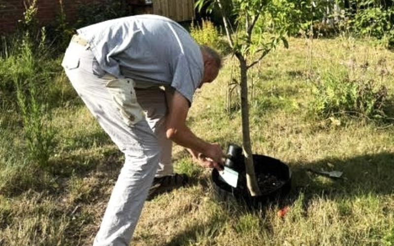 Glindebos educatie