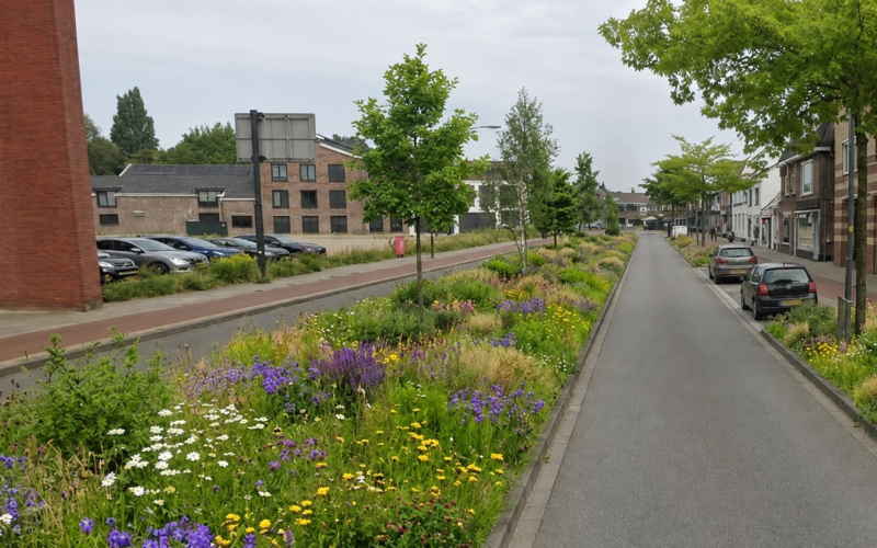 Vanbusbaan naar groen bornsestraat na